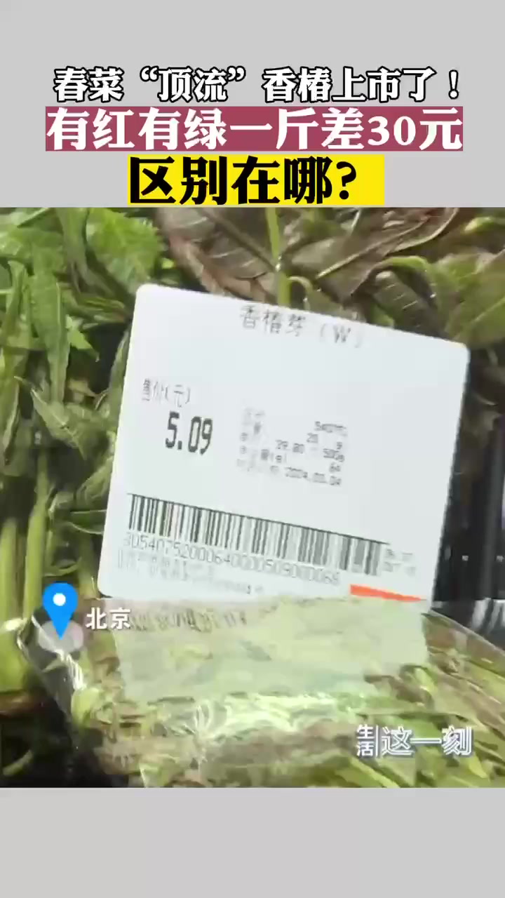 春菜“顶流”香椿上市了!有红有绿一斤差30元 区别在哪?