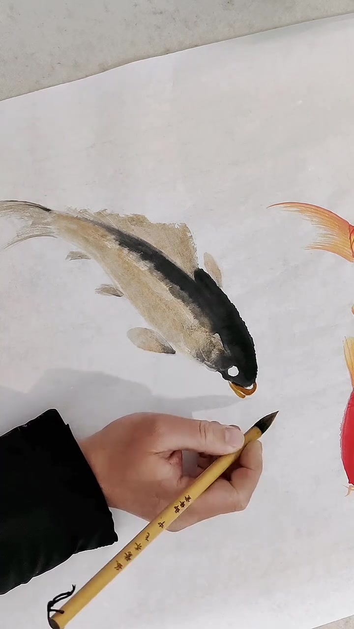 教你画鲤鱼