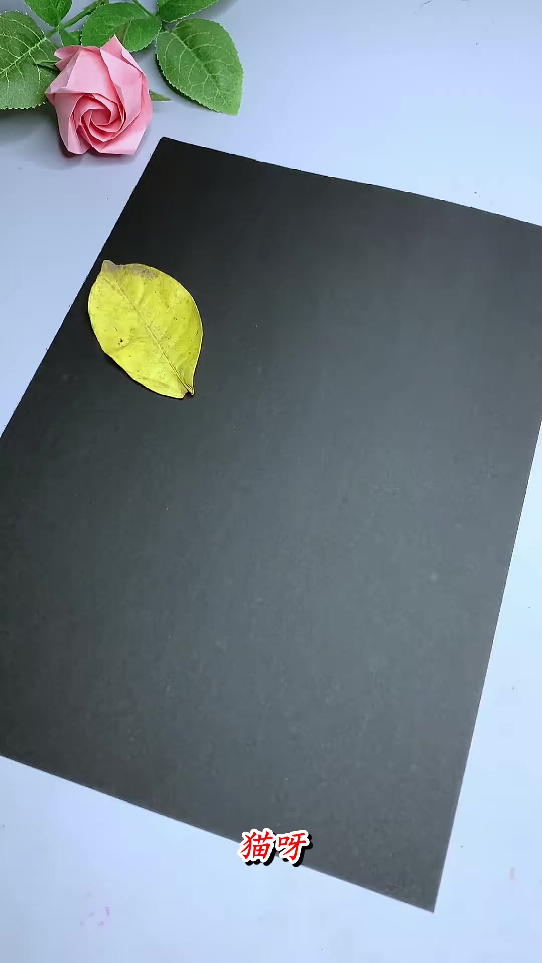 用树叶和石头粘贴一幅会飞的小屋,简单好玩,快来试试