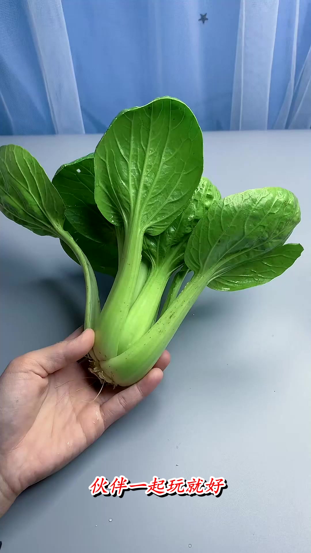 用蔬菜根印一幅漂亮的玫瑰花送给妈妈,简单又有趣(1)