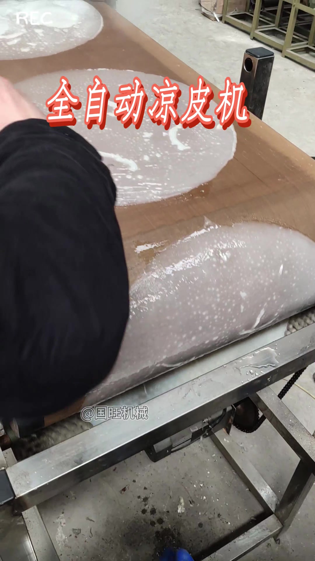 全自动蒸汽凉皮机 面皮米皮肠粉机 红薯粉皮设备 一机搞定 省人力