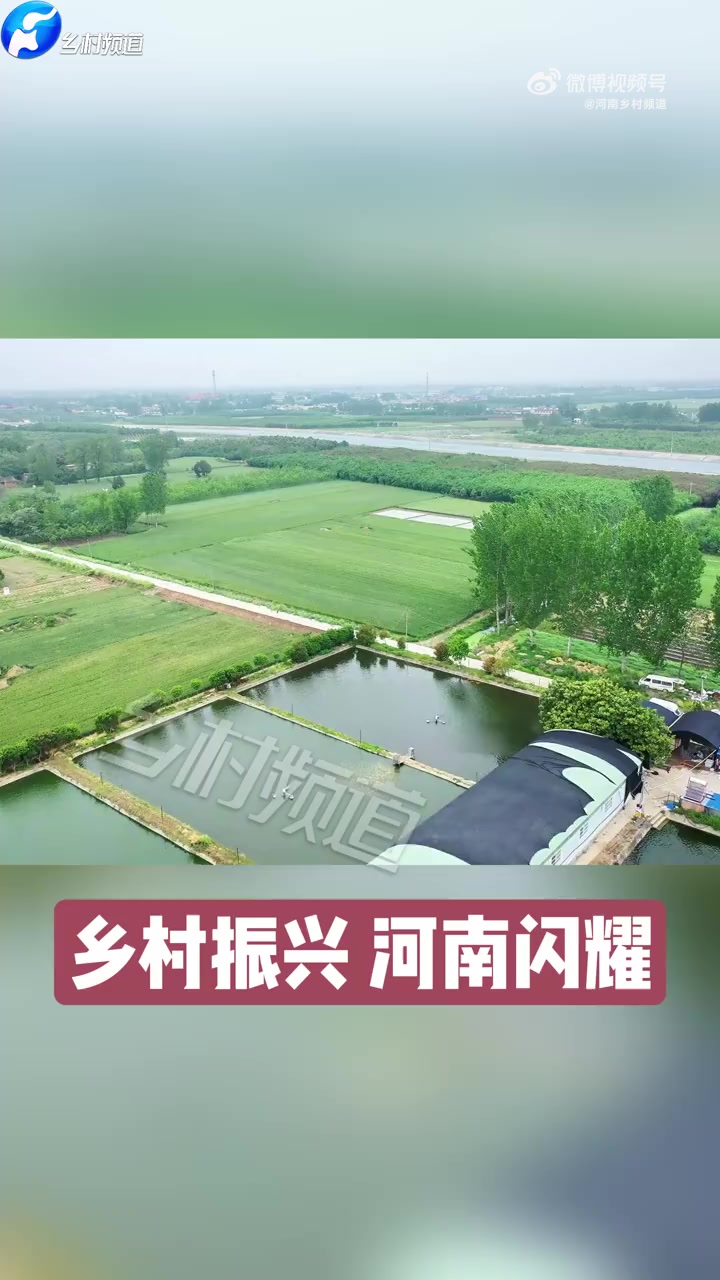 中国锦鲤第一村邀你云许愿 带薪摸鱼一网能卖30万 家家有鱼塘、户户养锦鲤,凭借农村电子商务