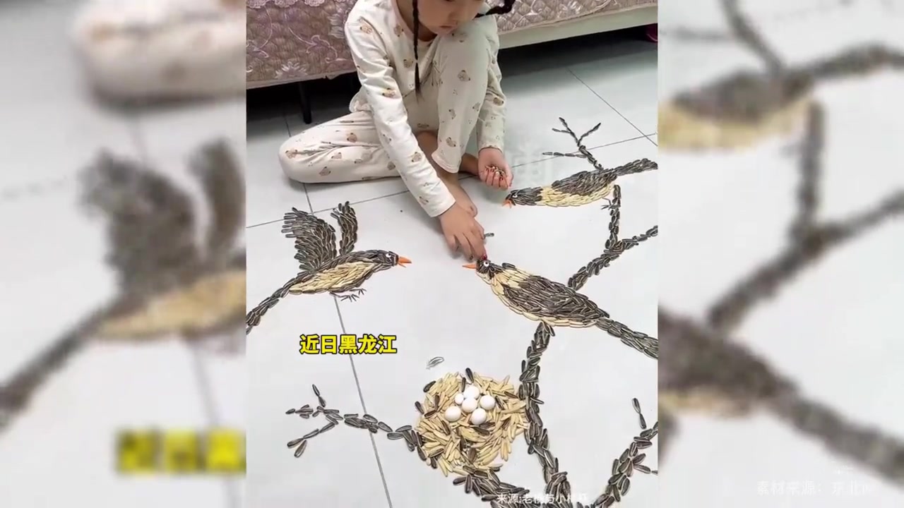 小女孩用瓜子鸡蛋在地板作画,随心摆放,栩栩如生