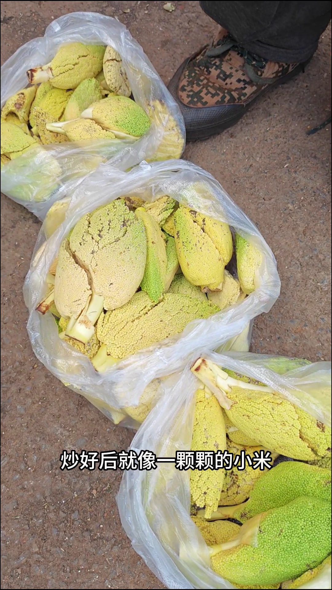 云南现在吃这些野菜,你吃过几种?