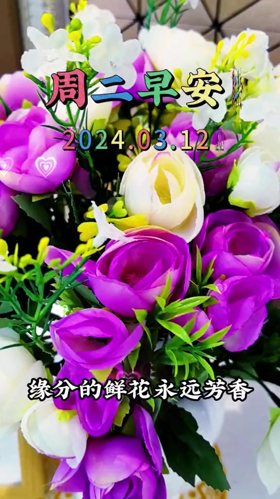 今天是3月12日星期二,早上好呀,缘分的鲜花,永远芳香;难得情分,永久不忘;满满的祝福,天