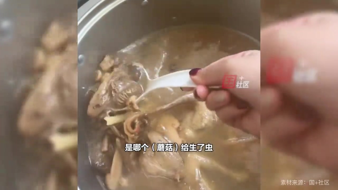 女子煲菌菇鸡汤,忙活一上午做好后发现有虫漂浮