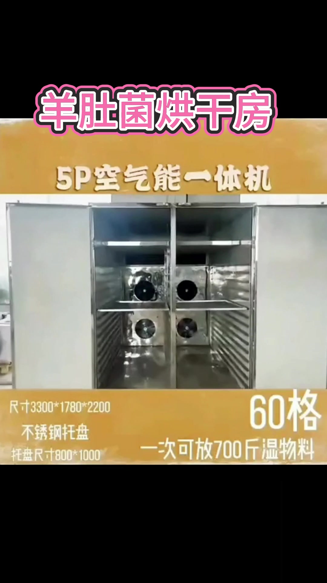 鹿茸菇烘干机 鸡腿菇切片烘箱 羊肚菌烘干房 果蔬烘干设备
