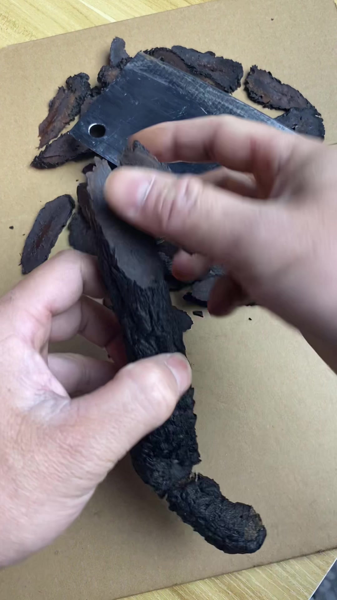 内蒙古阿拉善肉苁蓉,沙漠双雄之一,泡酒泡水喝