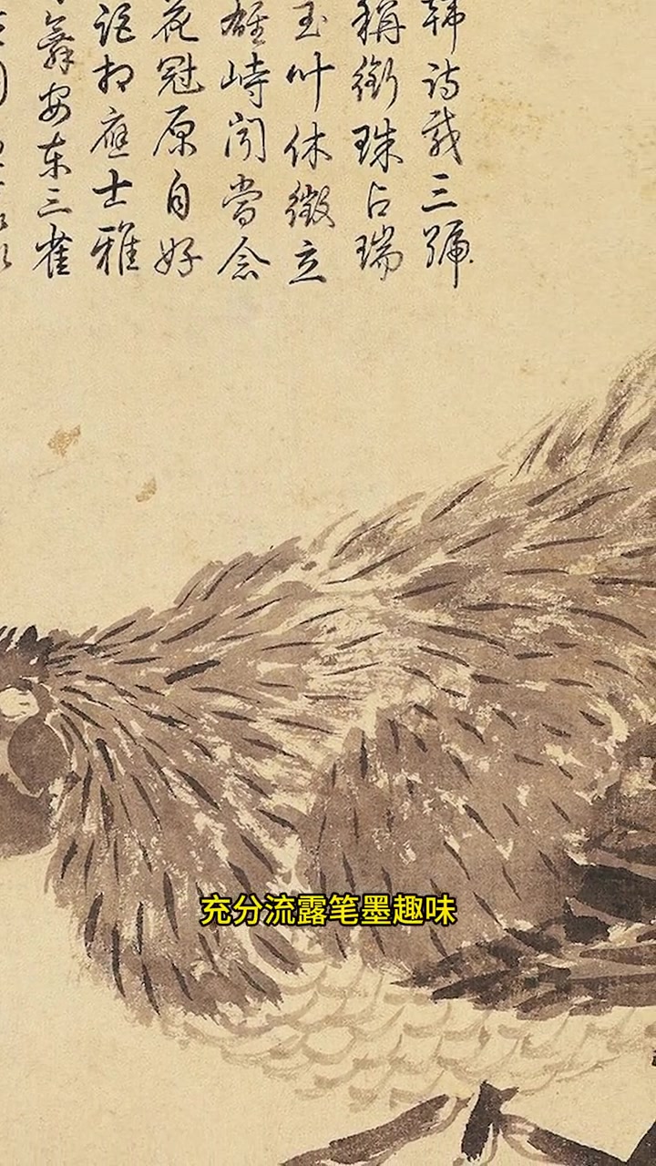 明代大画家画的“一只鸡”,羽毛蓬松,神采奕奕 国画 国画艺术 书画艺术