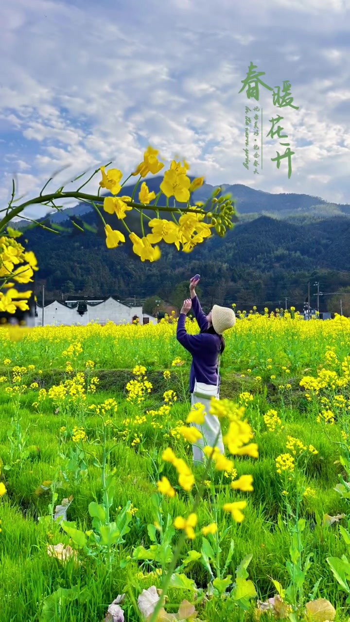 一朵油菜花试试这样拍创意照 油菜花 拍摄技巧 手机摄影