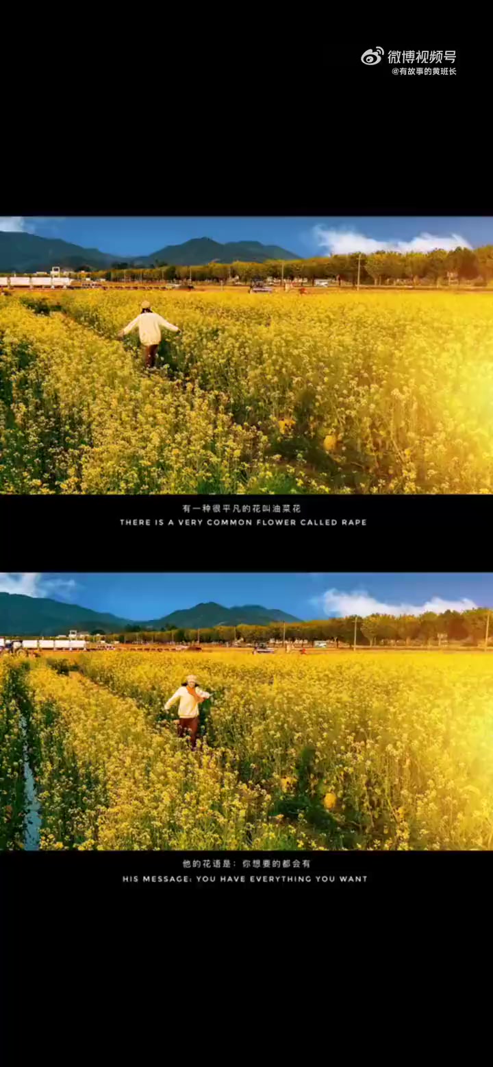 春天了教你四个油菜花拍照万能构图技巧,快学起来 拍了拍武汉春天