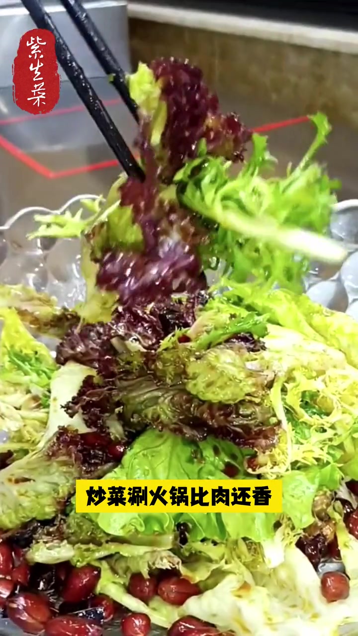 长成树的紫叶生菜,花盆里随便一种就是一大盆,好看又好吃!