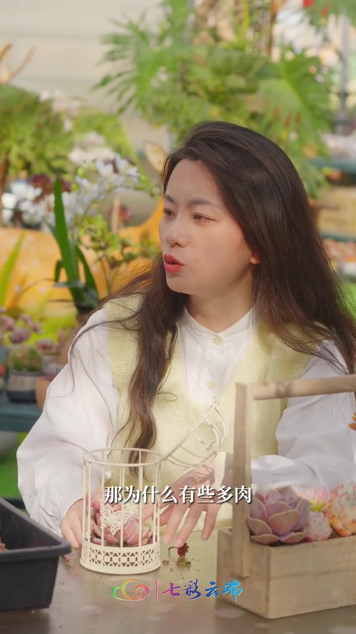 来自“多肉天堂”的养殖说明!看完这个,不愁养不活!云端朋友圈 样样好 美好生活在云南