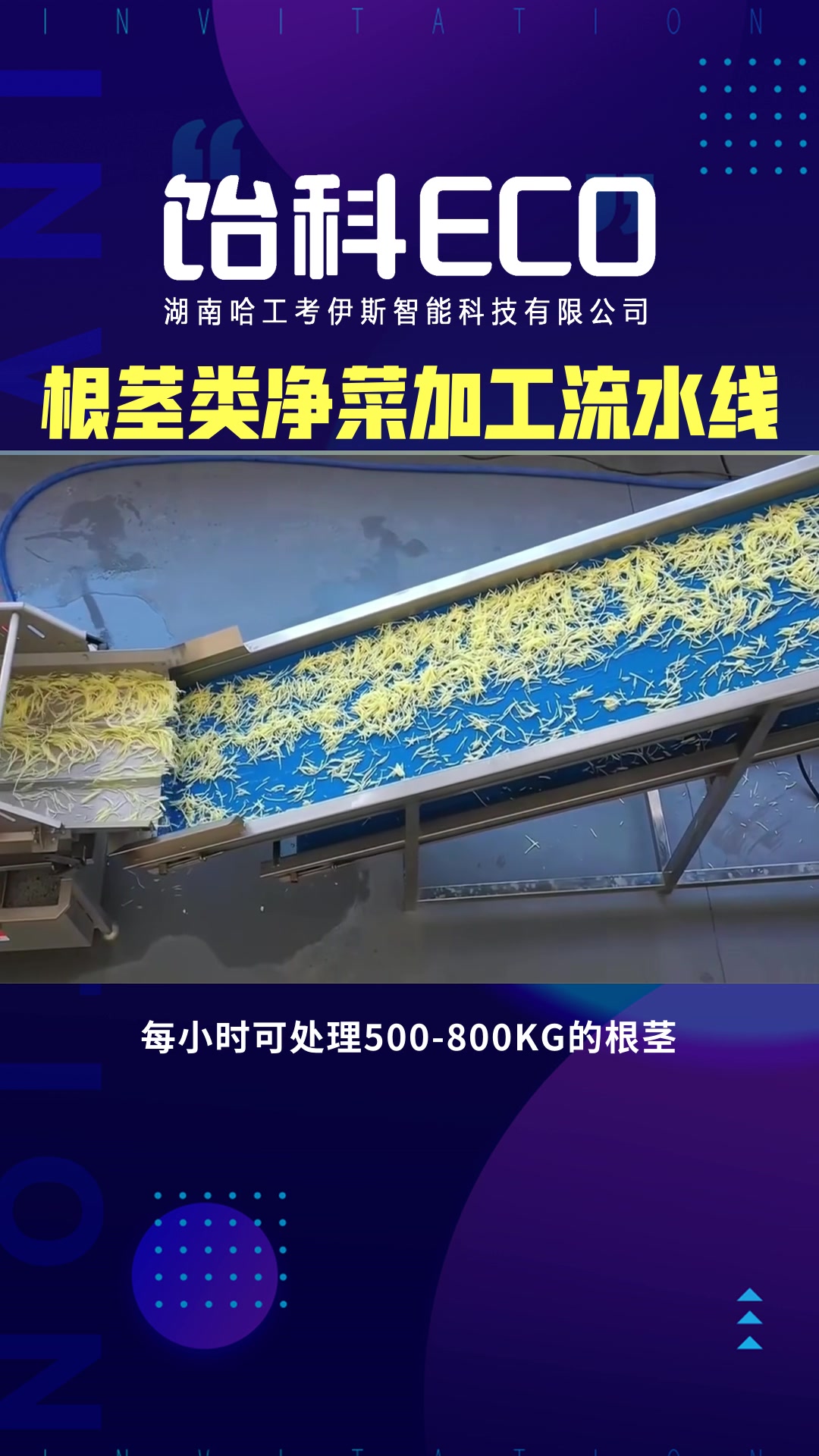 根茎类净菜加工流水线设备