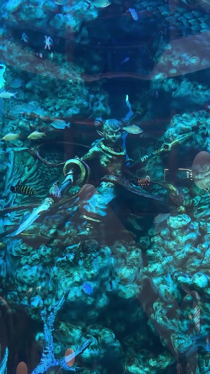 南昌免费的水族馆——江旅都市方舟里的超大水族箱,足足有四层楼高,真的超震撼,里面鱼的种类也