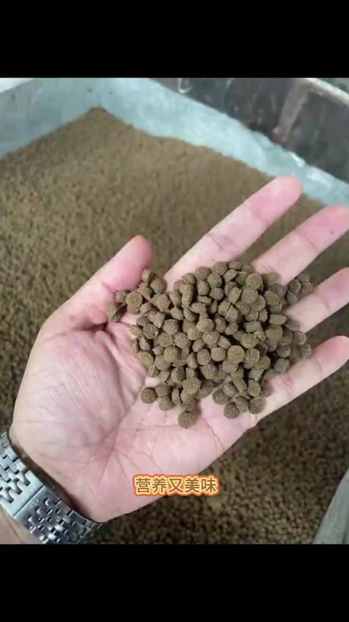 用70%的肉骨粉做狗粮,看看效果怎么样