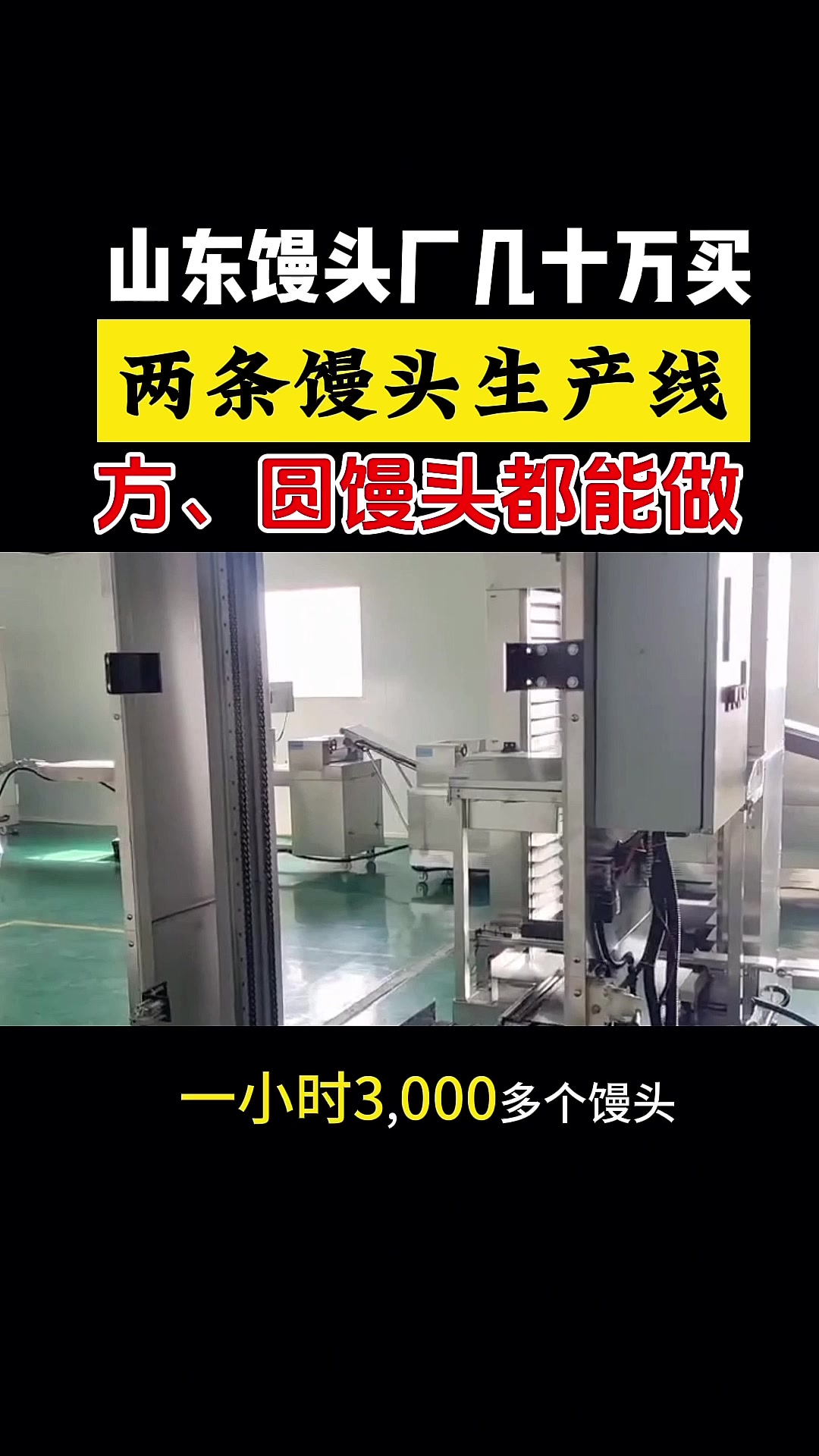 山东馒头厂刚刚安装好的#馒头生产线 ,方、圆馒头都能做#馒头机