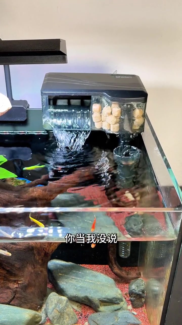 第2集|第二集:鱼缸要不要用过滤器?怎么选?新手养鱼入门基础教程 鱼缸过滤 水族 过滤系统