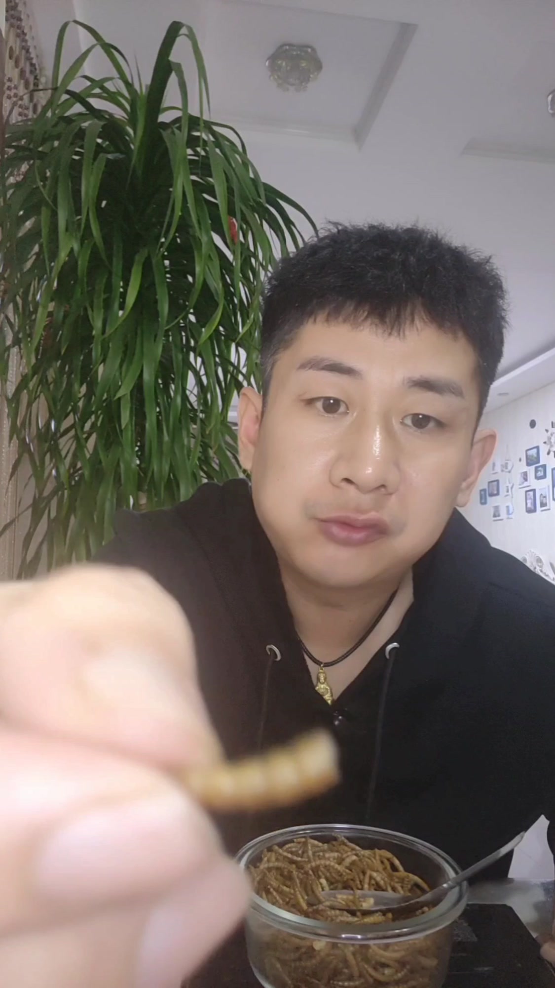 黑暗料理之面包虫