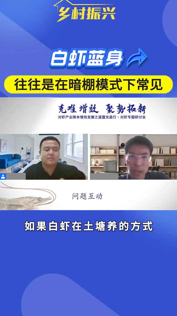 第154集|南美白对虾的蓝身往往是在暗棚养殖模式下比较常见 对虾养殖技术 对虾蓝身 龙昌渔