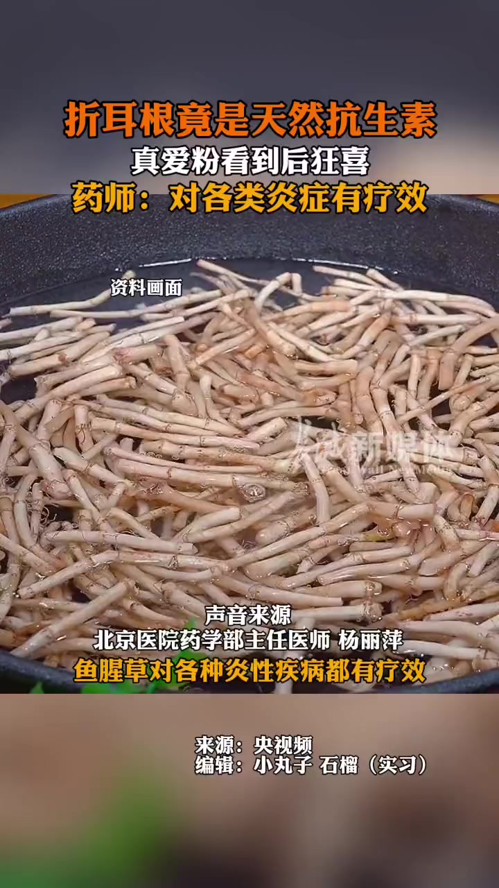 3月19日发布 专家称,折耳根对各种炎性疾病都有疗效,生吃对有效成分的保留是最好的。折耳根