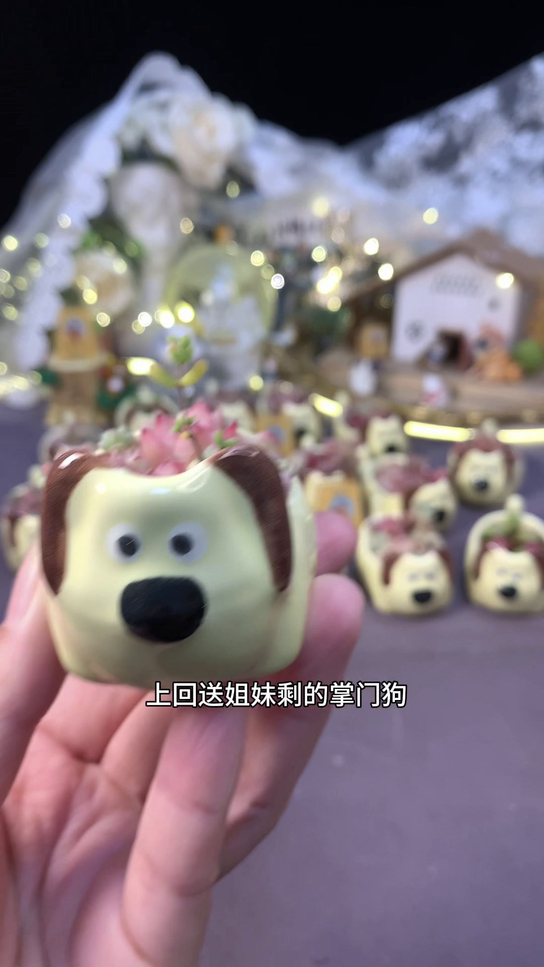 掌门狗的小海豚搭配还可以嘛。