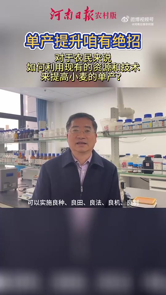 「单产提升咱有绝招|专家面对面小麦篇:对于农民来说如何利用现有的资源和技术来提高小麦的单产