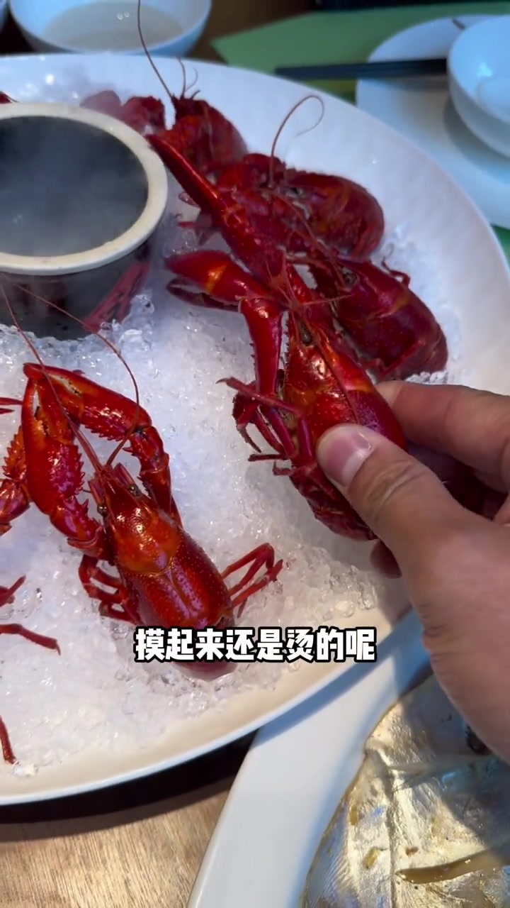 在城西银泰给你们找到家台州菜馆,百里挑一的龙虾有多好吃 谁懂这一口的好吃程度 艾特你的饭搭
