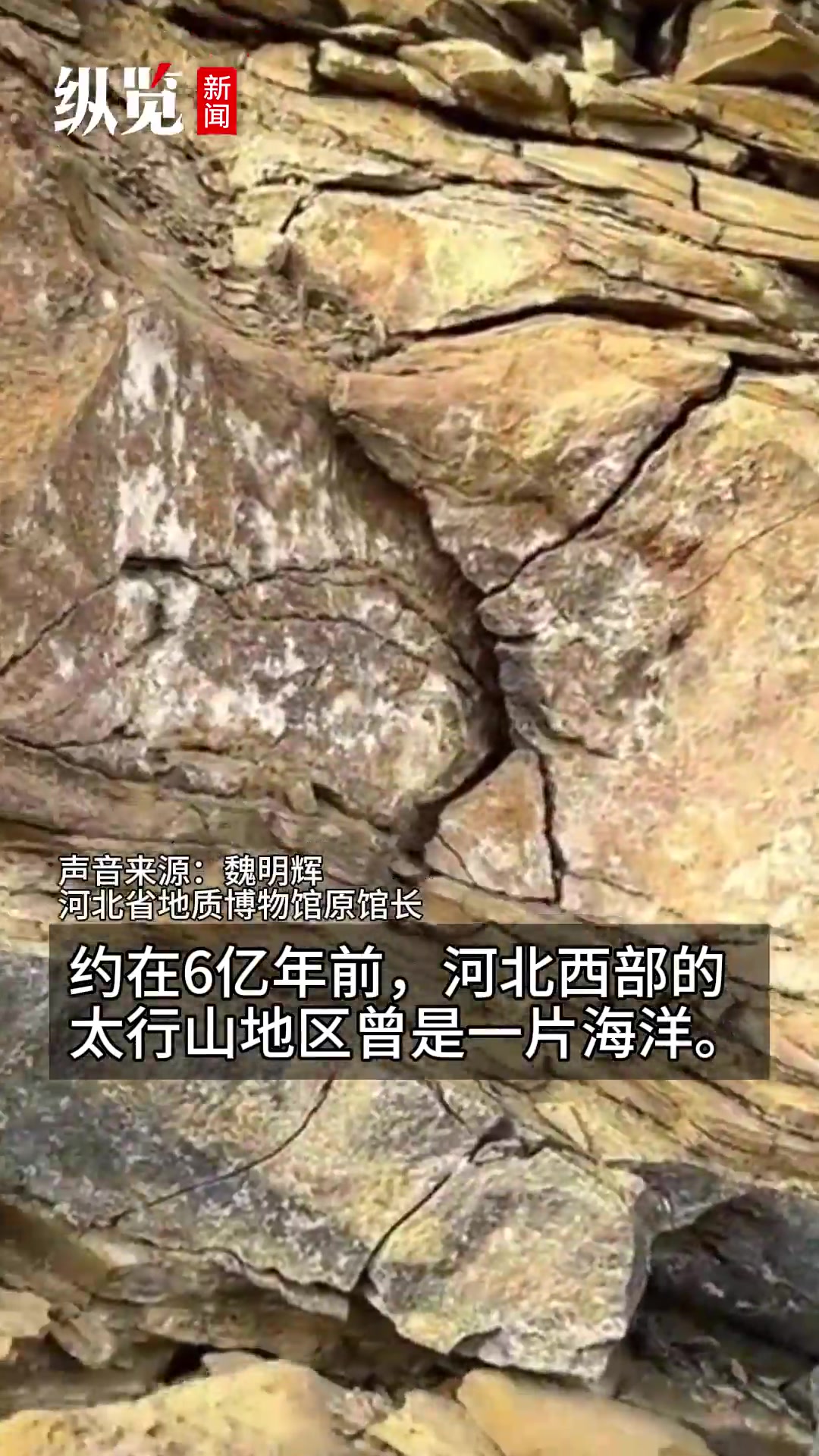 石家庄西部山区捡到三叶虫古化石?地质专家:这里6亿年前是海洋