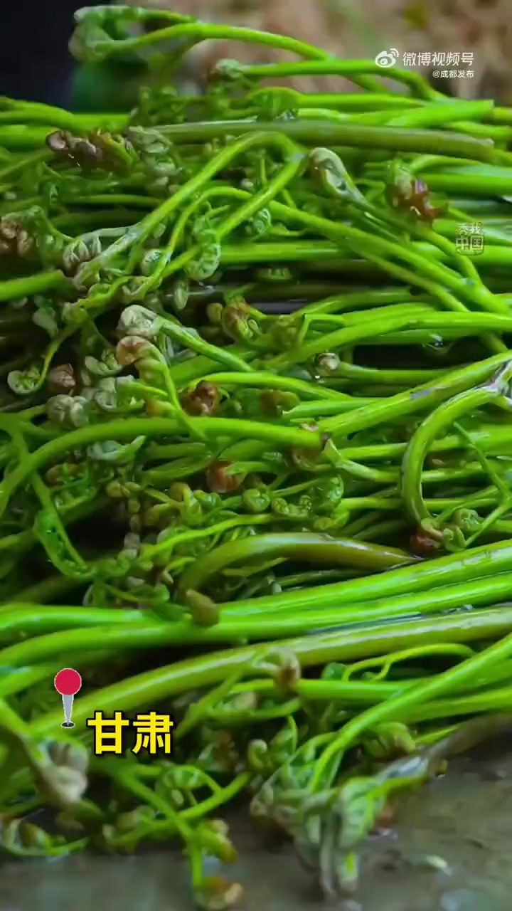 「把春天吃进肚子里是种什么感觉」减肥期拌菜 春分前后,正是众多蔬菜发芽,口感最鲜嫩的时候。