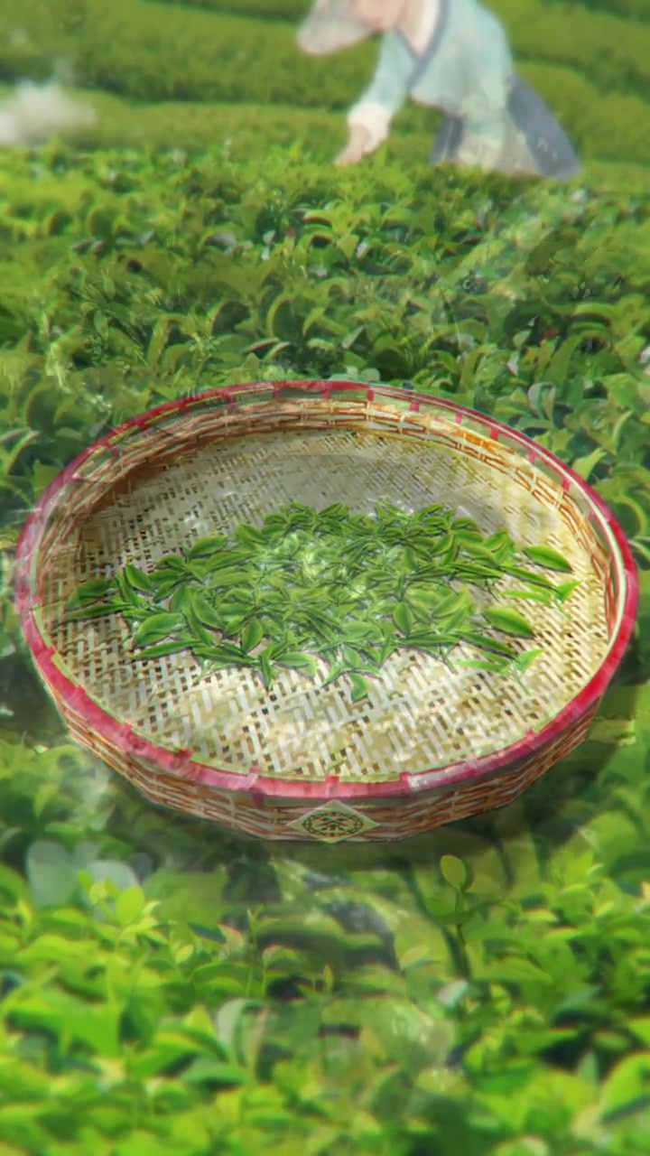 「用宋代海棠图打开春日画卷」赏一树春花,品一盏春茶,尝一碟春菜……春天的美好,在眼底,在舌