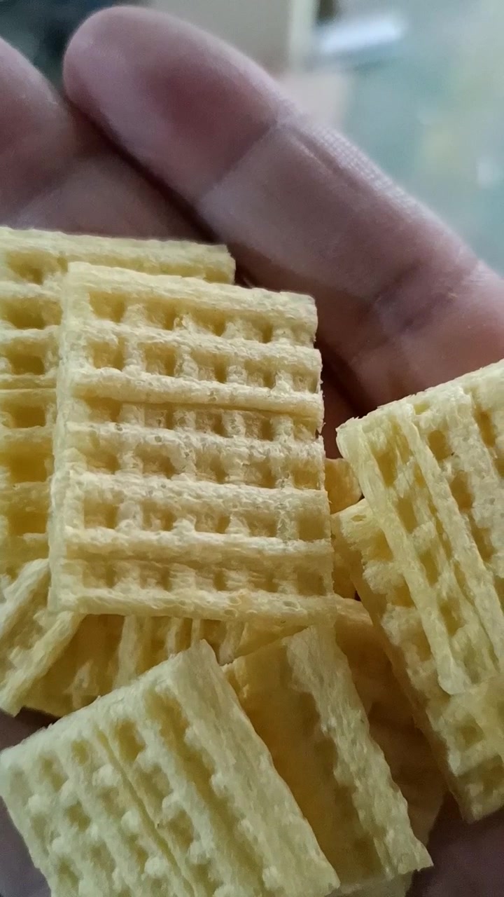 休闲零食大黄米锅巴薯片加工膨化机 膨化香脆锅巴生产机器设备