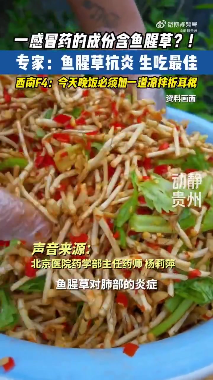 「鱼腥草能抗炎生吃最佳」你知道吗?药师说鱼腥草抗炎,生吃最佳!今晚不高低安排一道?西南F4