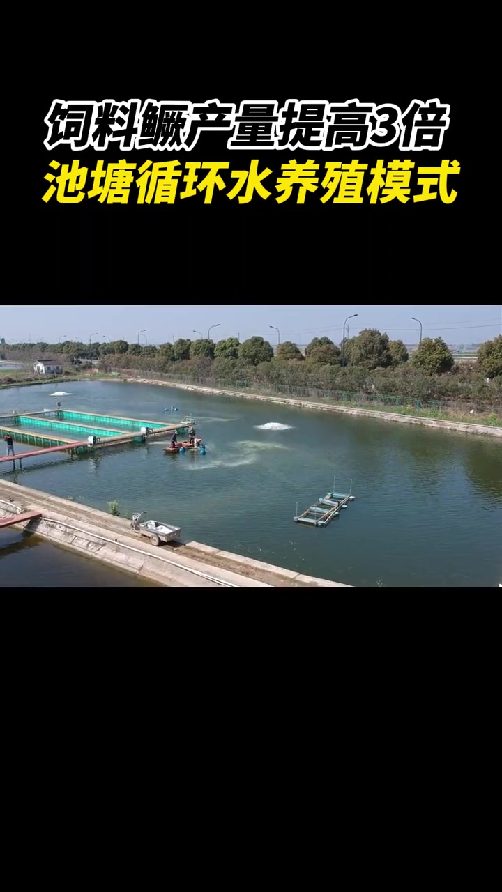 流水槽养殖|能让饲料鳜产量提高3倍的池塘内循环流水槽养殖