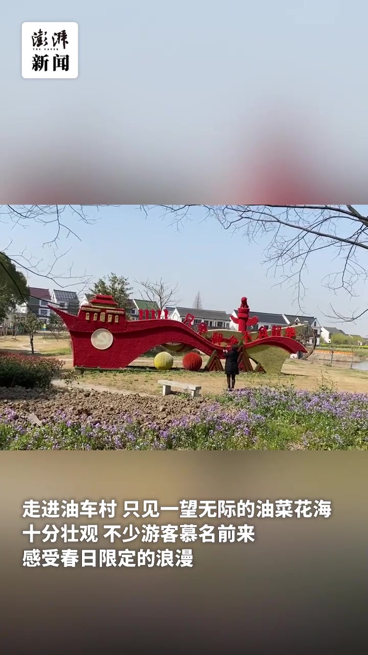 春日限定|浪漫“油”然而生,上海金山五色油菜花节等你来打卡