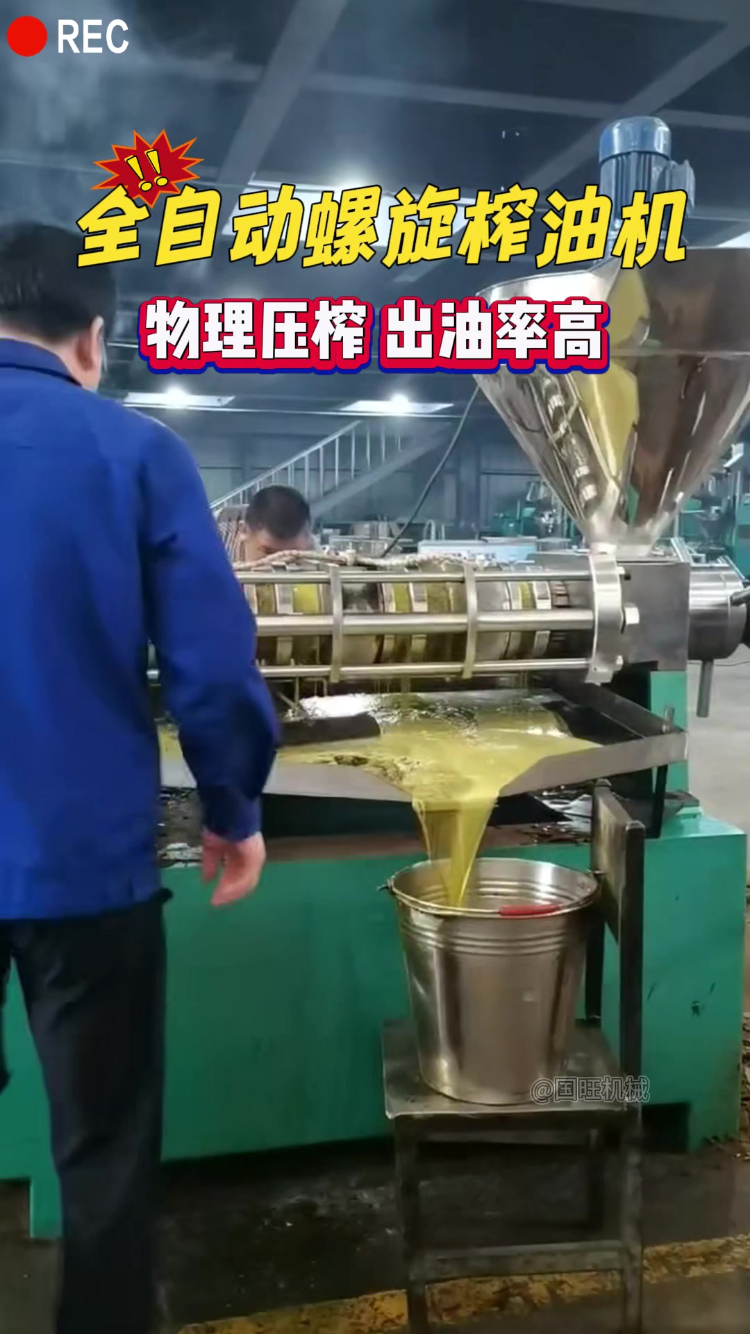 油菜籽榨油机全套设备 全自动葵花油压榨机 大豆油加工设备流水线