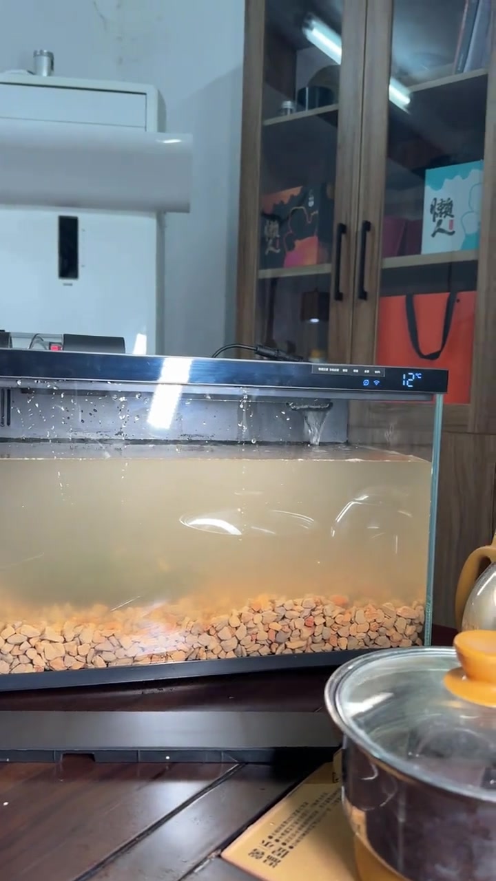 如何使用小米鱼缸养龟?乌龟 爬宠 生态缸 小米鱼缸改造 蛋龟