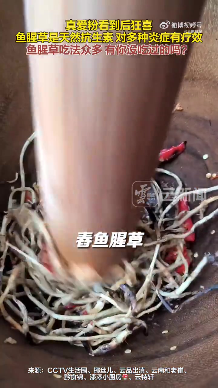 「鱼腥草是天然抗生素对多种炎症有疗效」专家表示,鱼腥草对多种炎症有疗效,尤其是肺部炎症。许