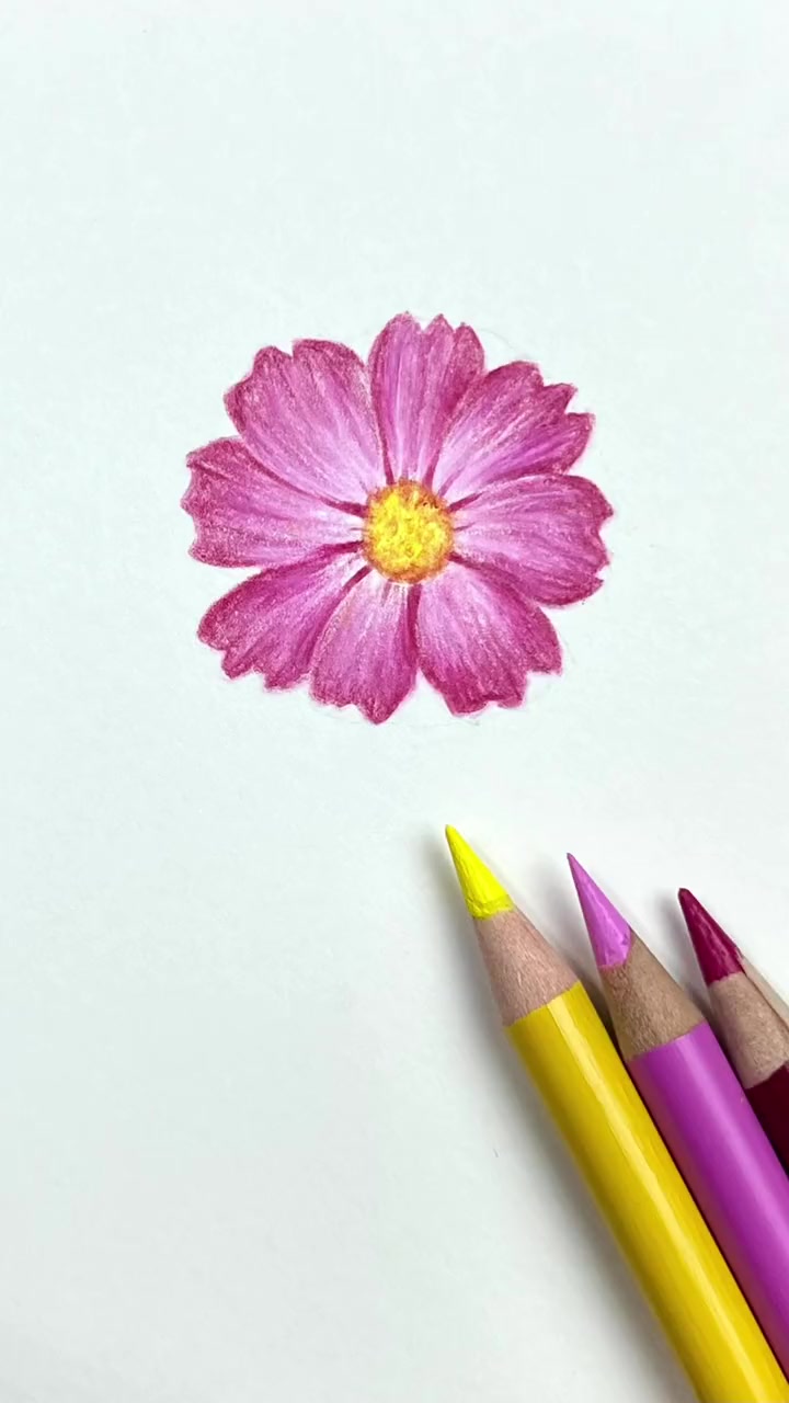 第30集|轻松掌握色彩搭配,画出最美的花卉,你学会了吗?画画 春日入画挑战 一学就会系列