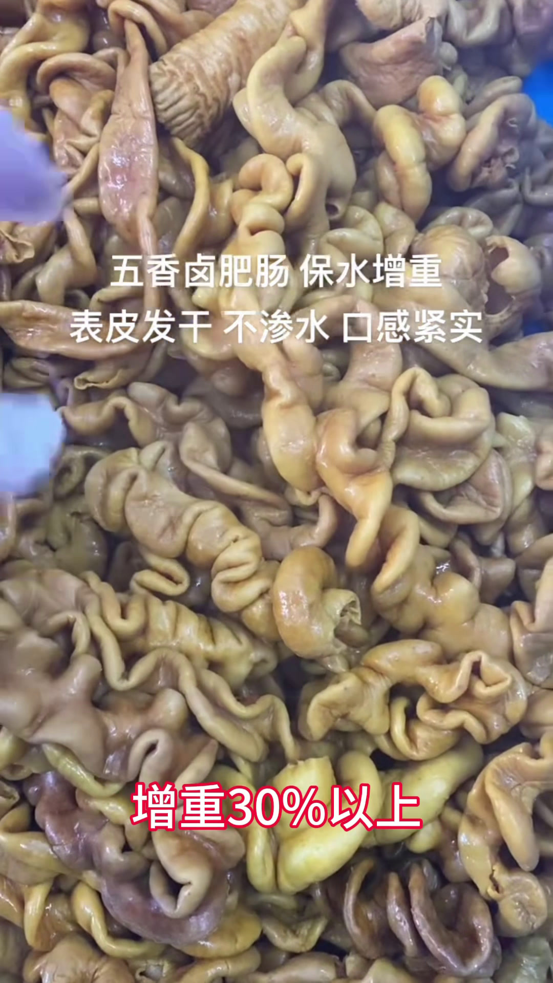 猪大肠保水剂保水泡发