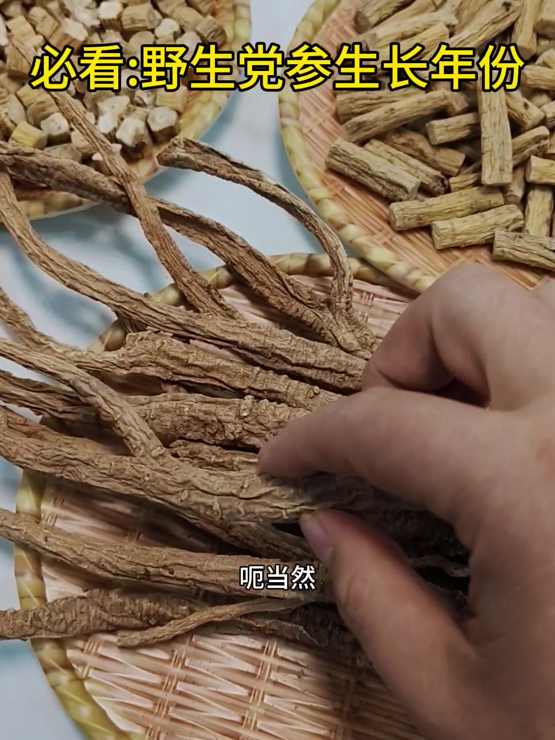 必看野生党参到底是生长了多少年份