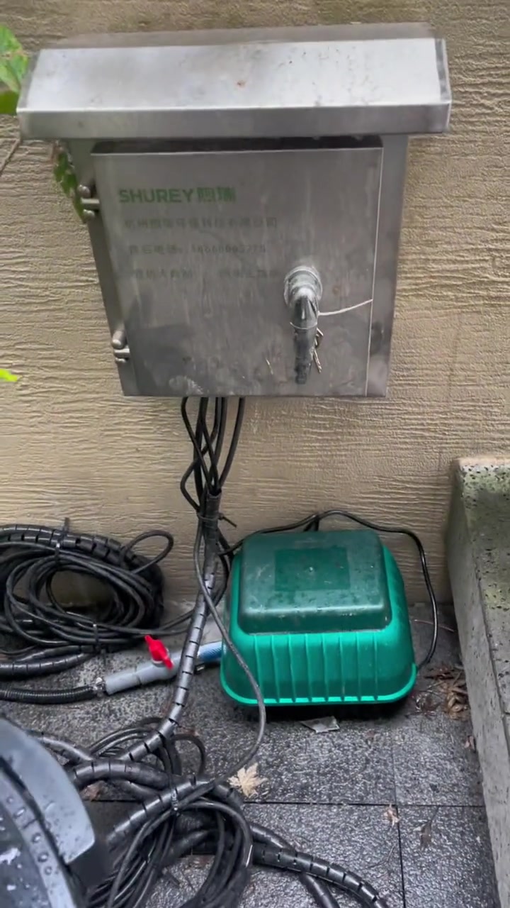 虽是小鱼池,但也想养大鱼,这是开发商建造的鱼池,值得一提的是开发商也做了2个格子的过滤池,