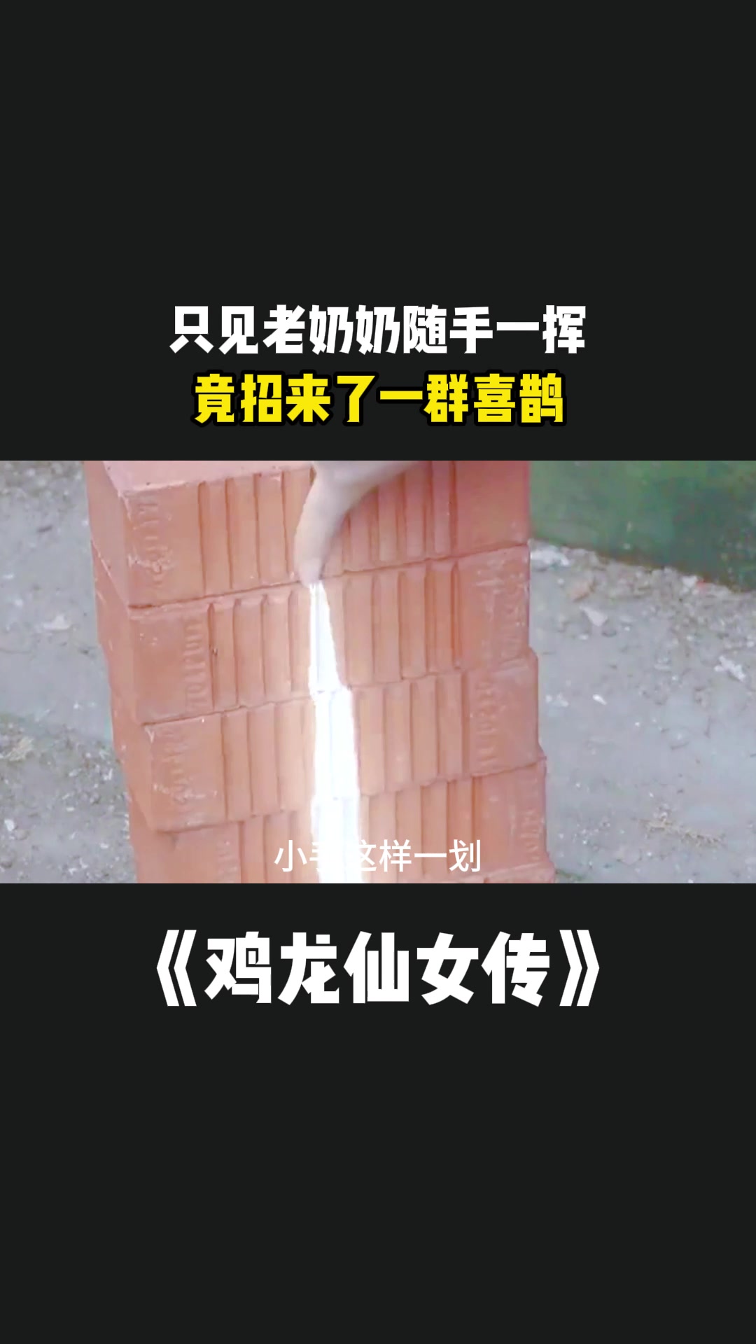 鸡龙仙女传:只见老奶奶随手一挥,竟招来了一群喜鹊