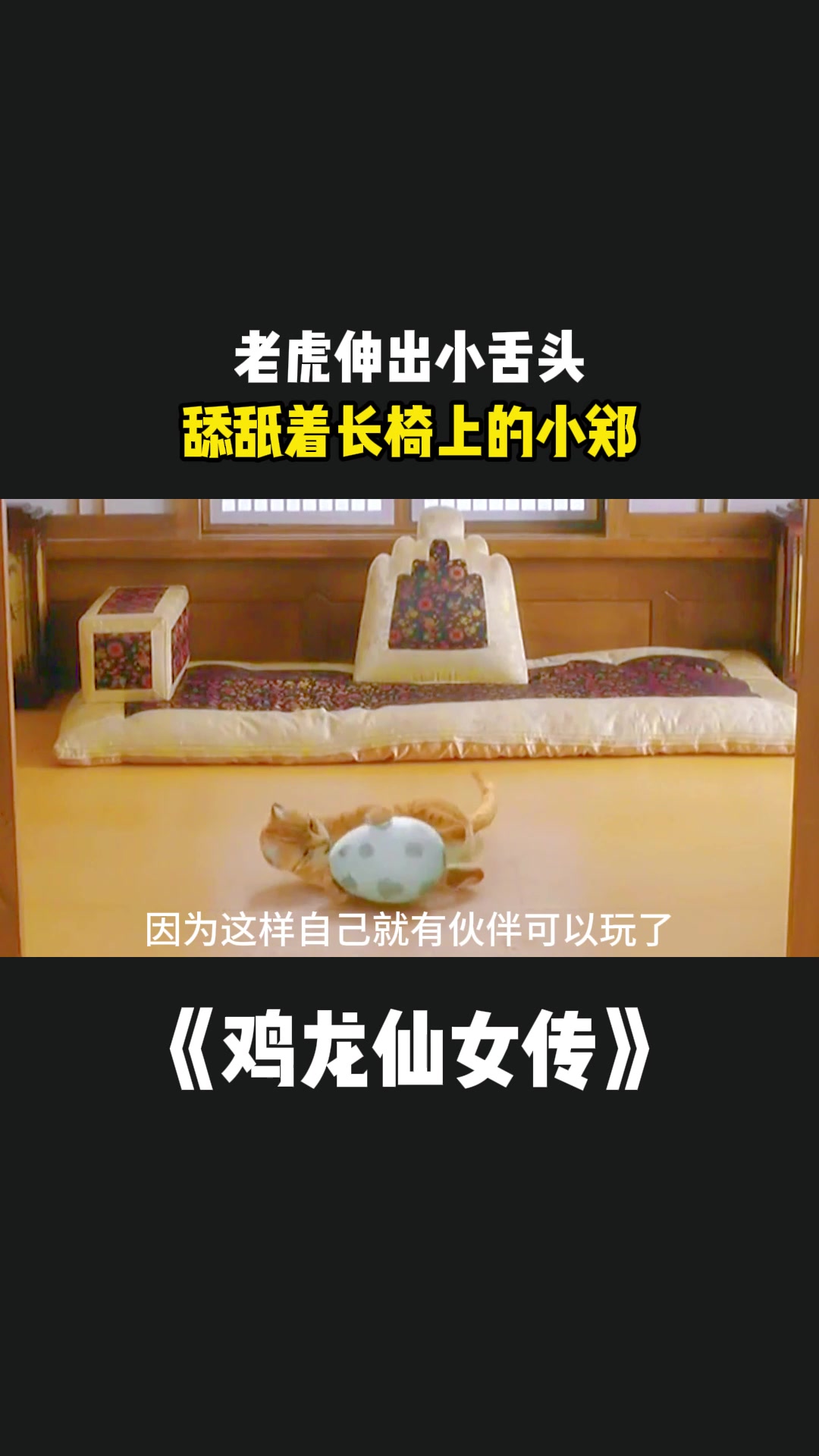 鸡龙仙女传:老虎伸出小舌头,舔舐着长椅上的小郑