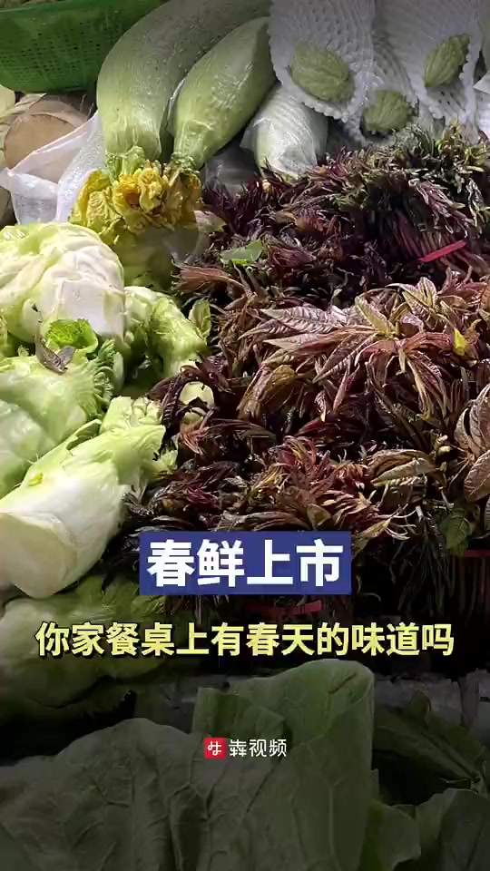 「春鲜上市,你家餐桌上有春天的味道吗?」暖暖的阳光,徐徐的微风,道路旁绿意盎然的树木是春天