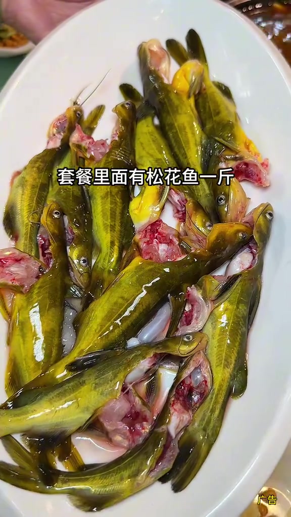 肖三斗泉水鱼开到蔡家了,新店开业,168就能吃四人餐,吃三种不同泉水鱼,味道很好 泉水鱼 