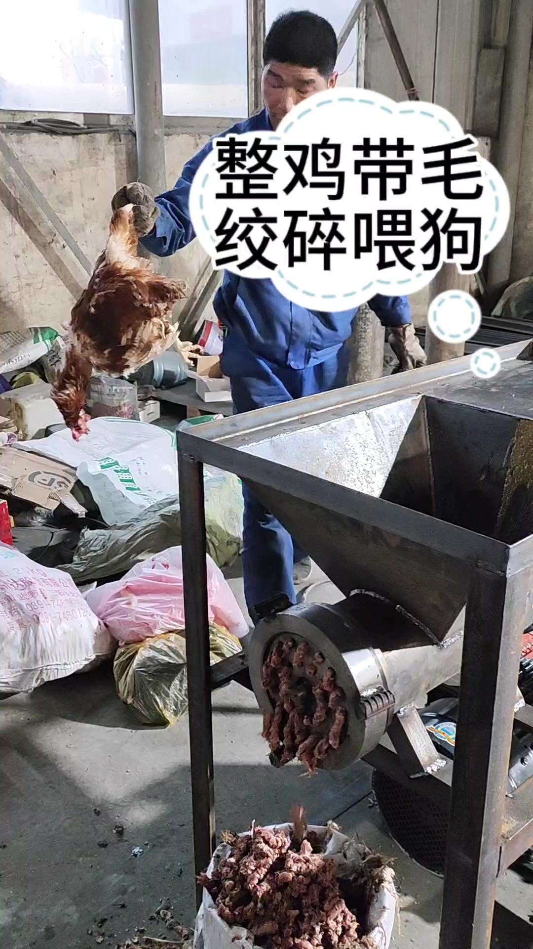 绞肉机养殖户用喂狗绞鸡架子绞肉机