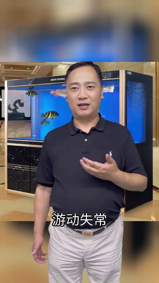 鱼身上有白色絮状物是什么原因