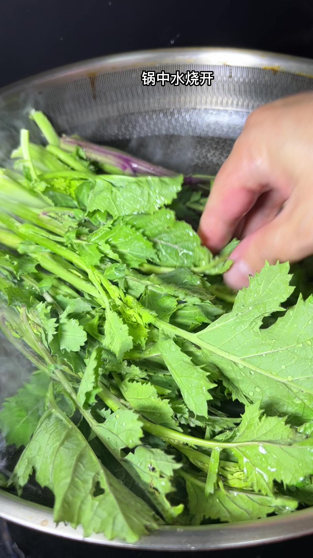 路边无人问津的野生腊菜,用它做成酸菜