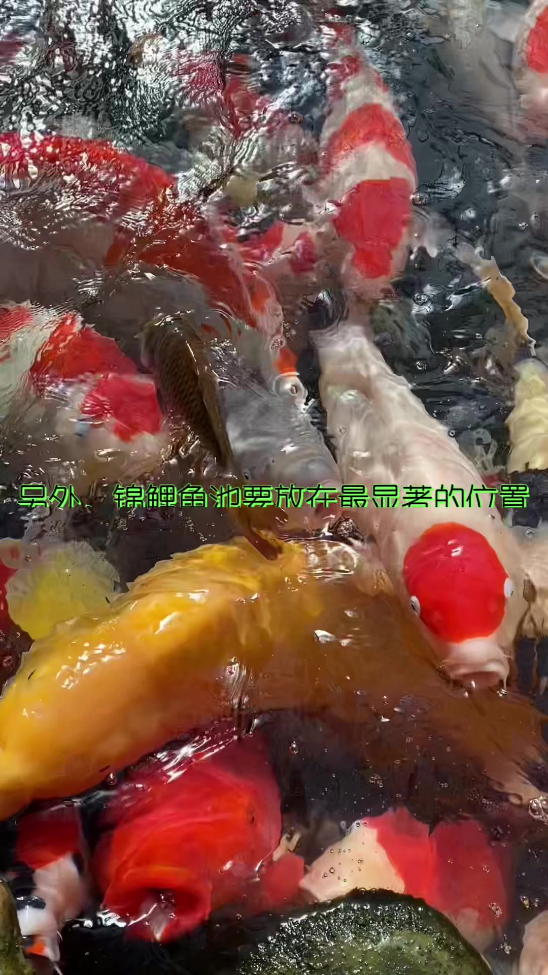 庭院鱼池的朝向